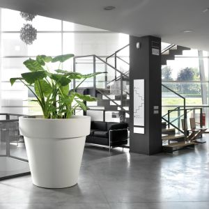 Vaso Standard One Teraplast