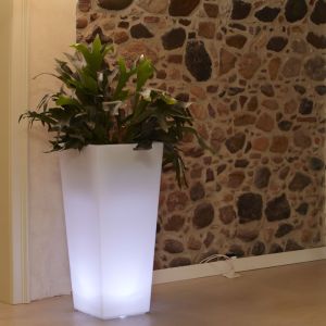 Vaso luminoso alto da arredo. Eros Light.