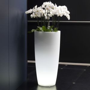 Vaso luminoso per piante Talos Light