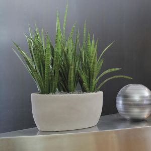 Vaso ovale Athena