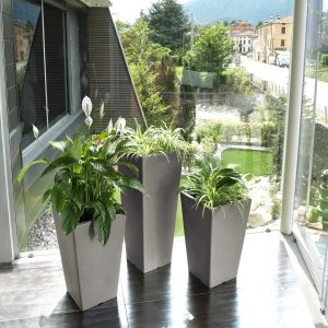 Vaso pasubio alto