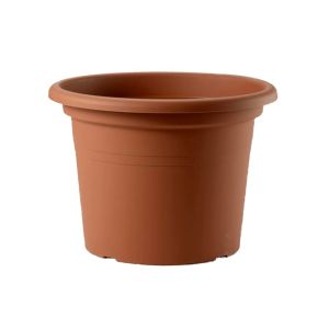 Vaso Cilindro Basic D35 | Teraplast