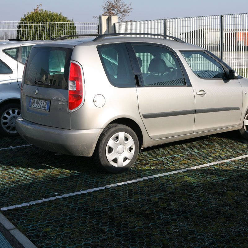 La griglia salvaprato carrabile